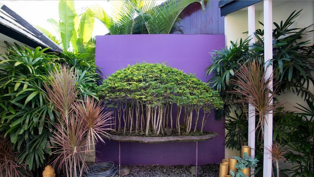 Bonsai Villas Семиняк Стая снимка