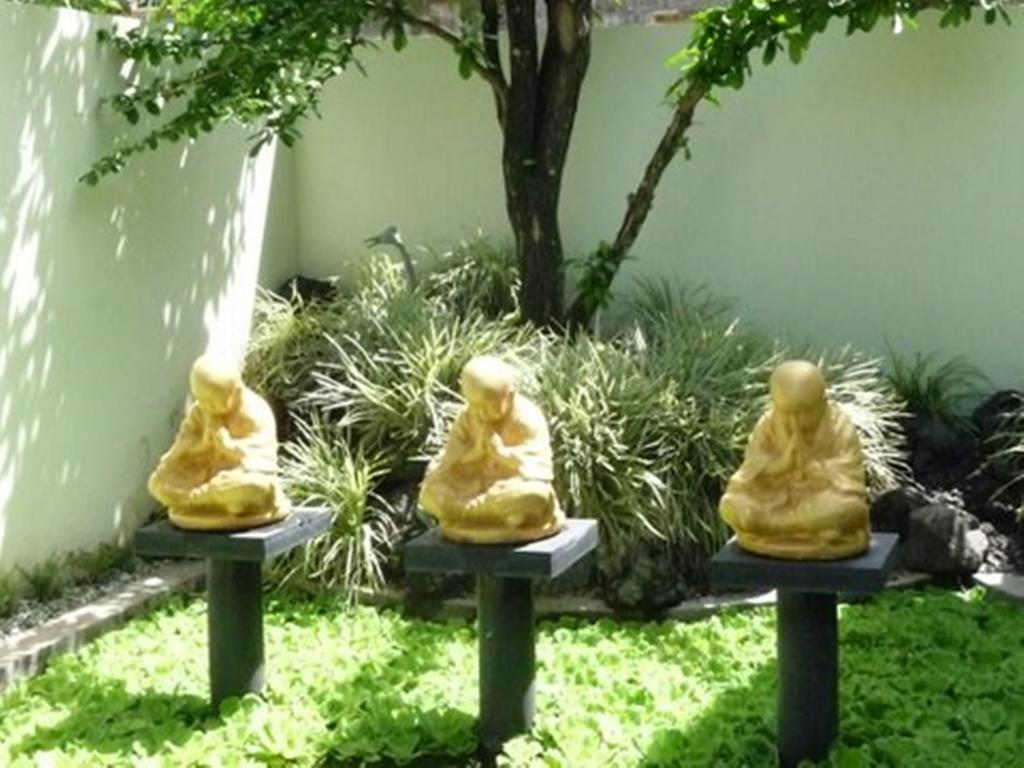 Bonsai Villas Семиняк Стая снимка